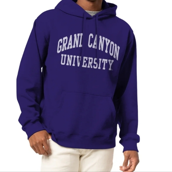 Jansport Deep Purple University Hoodie - Picture 2 of 5
